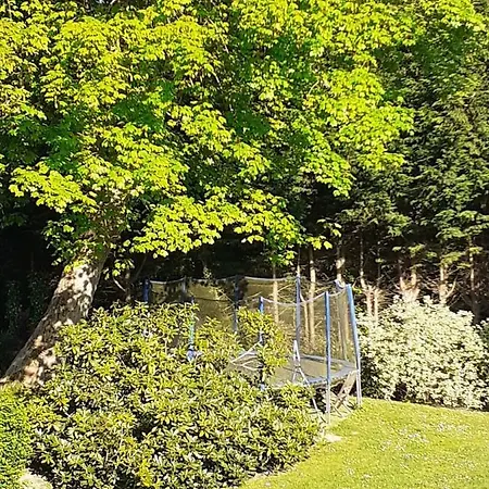 Manoir De L'as De Trefle Bed & Breakfast *