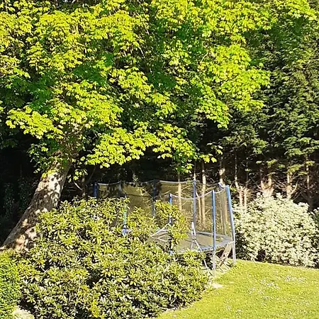 Manoir De L'as De Trefle B&B *
