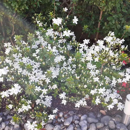 艾斯特里菲住宿加早餐旅馆 Isneauville