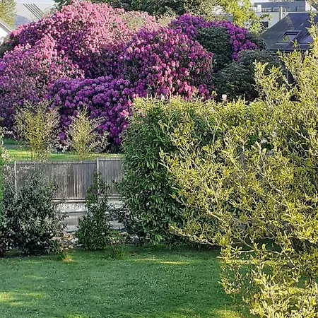 Manoir De L'as De Trefle * Isneauville