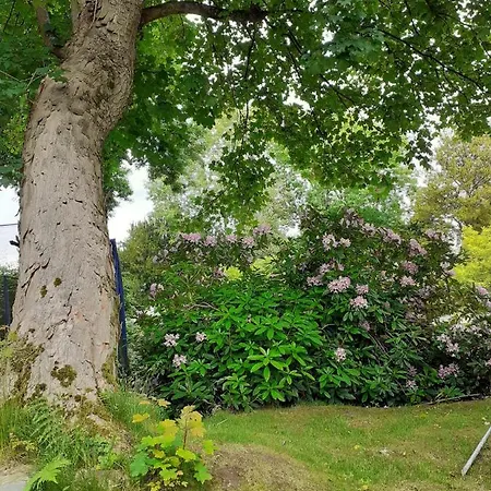 Manoir De L'as De Trefle לינה וארוחת בוקר