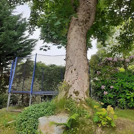 艾斯特里菲住宿加早餐旅馆 住宿加早餐酒店