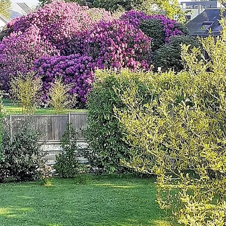 Bed & Breakfast Manoir De L'as De Trefle *
