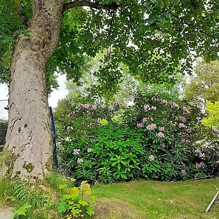 Manoir De L'as De Trefle Bed & Breakfast *