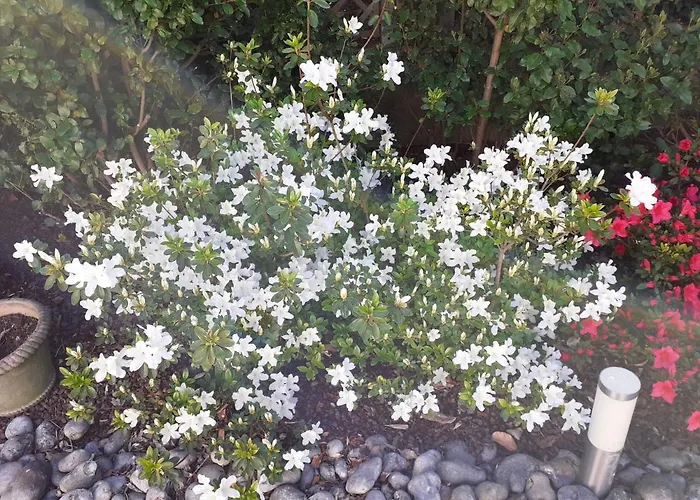 Manoir De L'as De Trèfle Isneauville