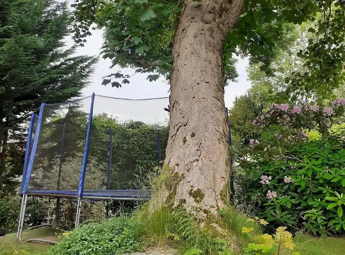 Manoir De L'as De Trèfle Couette-café