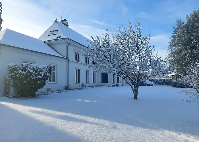 Manoir De L'as De Trèfle Isneauville